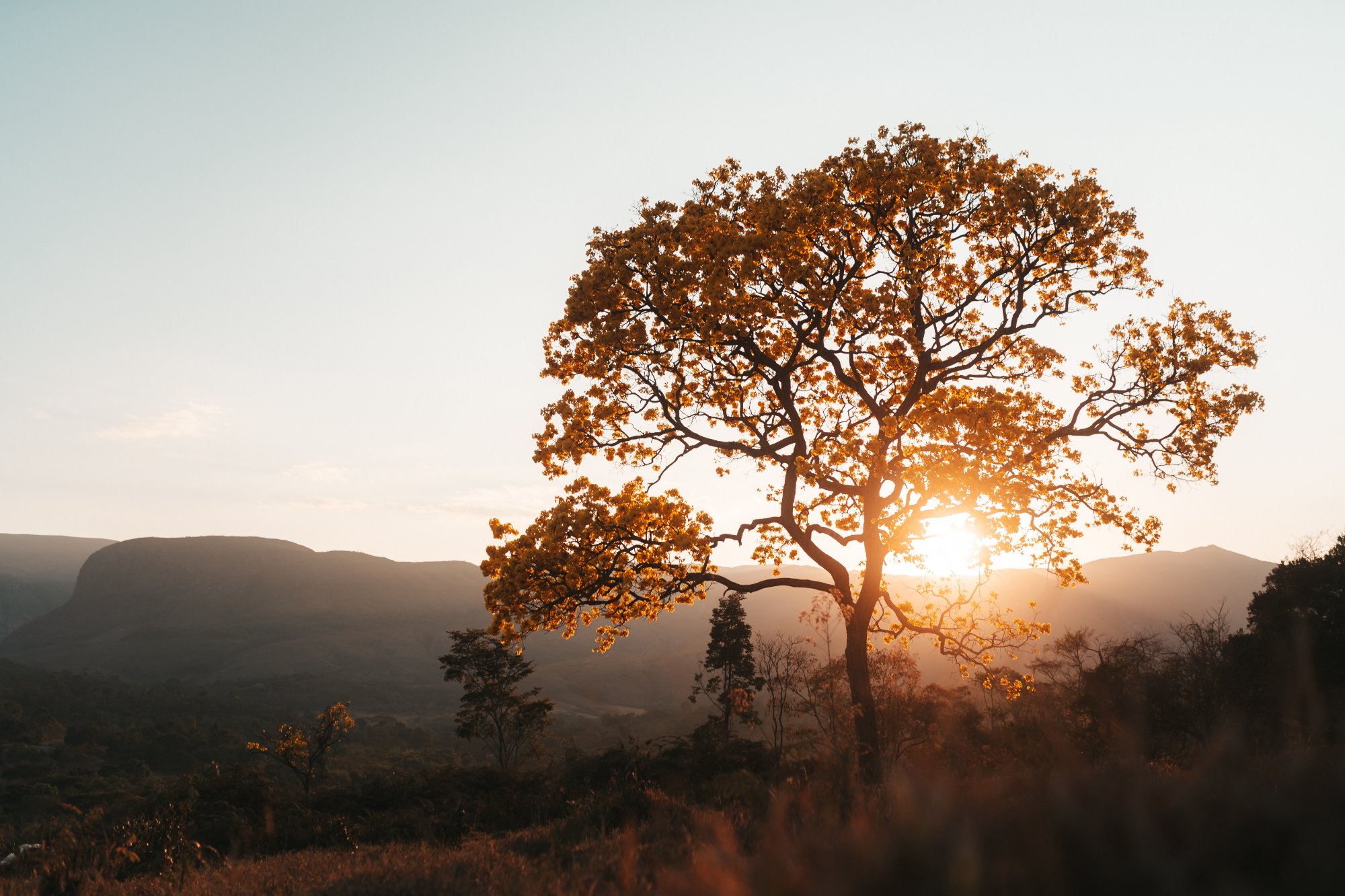 Cerrado do Espinhaço